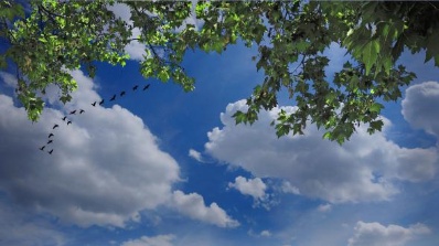 Printing locksmith brakpan